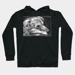 SHASTA Hoodie